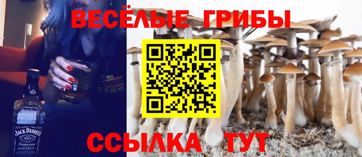 Галлюциногенные грибы GOLDEN TEACHER Благовещенск