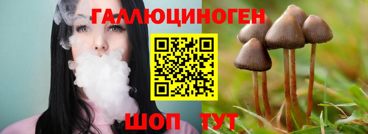 Благовещенск  Псилоцибиновые грибы прущие грибы  Вход с VPN 